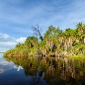 BWA NW OkavangoDelta 2016DEC02 Nguma 007 : 2016, 2016 - African Adventures, Africa, Botswana, Date, December, Month, Ngamiland, Nguma, Northwest, Okavango Delta, Places, Southern, Trips, Year